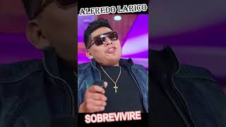 ALFREDO LARICO 🎶✨SOBREVIVIRE🎶✨ musica mixto music cumbion amor huayno envivo agrupacion [upl. by Ahseinek]