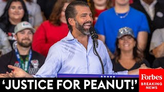 Donald Trump Jr Peanut The Squirrel Controversy Exemplifies Overreach Of The Democratic Party [upl. by Ashok257]