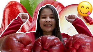 GIANT ROSE APPLE MUKBANG  ASMR MACOPA FRUITS [upl. by Kari169]