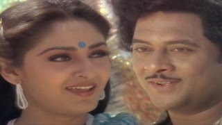 Parimalinchu Video Song  Puli Bebbuli Movie  Krishnam RajuChiranjeeviJayapradhaRadhika [upl. by Shelman]