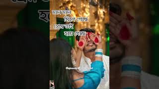 মনে মনে মিলে গেছে ll Mone Mone Mile Geche ll 🥰🌹🥀 [upl. by Etnuahs995]