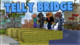 The Ultimate Telly Bridging Team [upl. by Annanhoj]