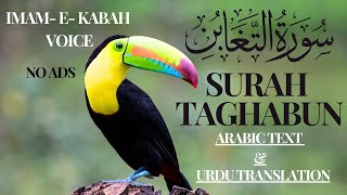 Surah Taghaban  No Ads  Increase Wealth amp Cure surahtaghabun [upl. by Etteluap260]