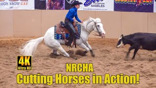 NRCHA Western Derby Cow Cutting Horse Show 2022 in 4K [upl. by Zhang]