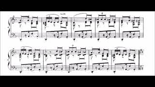 Bizet  Habanera from Carmen  Cyprien Katsaris Piano [upl. by Ynaffat]