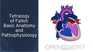 Tetralogy of Fallot Basic Anatomy and Pathophysiology by P Lang L DelSignore  OPENPediatrics [upl. by Ydnat]