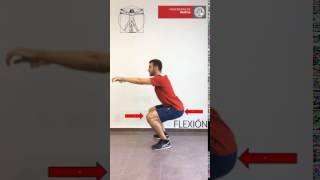 Flexión Extensión Rodilla def [upl. by Strickland]