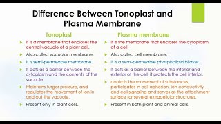 Difference Between Tonoplast and Plasma Membrane  Biology [upl. by Bui737]