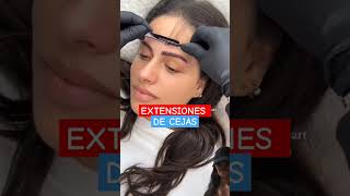 Extensiones de cejas cejas [upl. by Zwick]