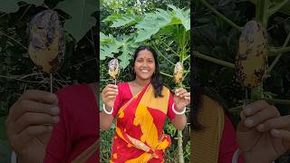 Juicy Star Fruit  Kamranga Makha shorts kamranga starfruit makha viral 😀 [upl. by Ahsiemal28]