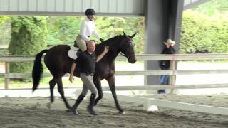 International Society for Equitation Science international convention Vancouver 2015 [upl. by Animrelliug]