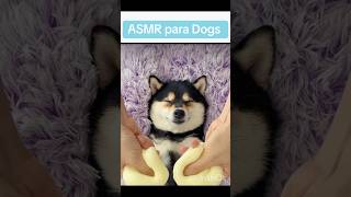 ASMR para Dog  Soa para Dogs shorts short [upl. by Saberio]