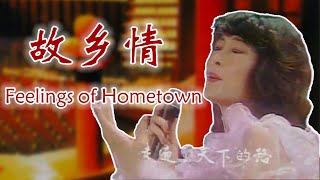 故乡情 Feelings of Hometown  Guxiang Qing  林端 Duan Lin 1984 [upl. by Theall]