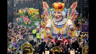 The Advocates Mardi Gras Live Stream Watch 2019 parades roll [upl. by Ahsenhoj58]