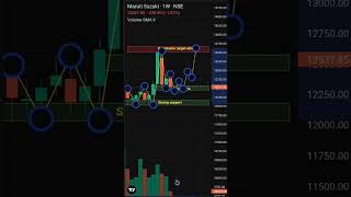 Maruti Suzuki today analysis  all important lavel analysis stock market [upl. by Waki805]