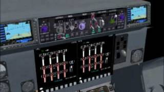 UKMIL FSX C17 tester [upl. by Aerdnaeel]