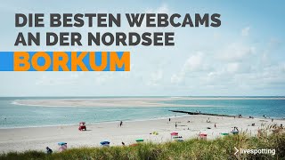 Live vom Gästehaus Victoria Borkum Direkter Blick aufs Meer  Entspannung amp Erholung in Echtzeit [upl. by Eshman]