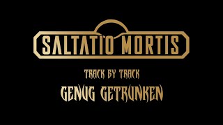 Track by Track  Genug getrunken  Saltatio Mortis [upl. by Calie]