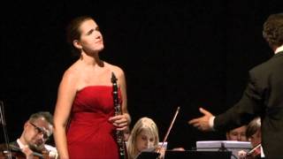 Gabriel´s Oboe clarinet version Ennio Morricone [upl. by Briano]