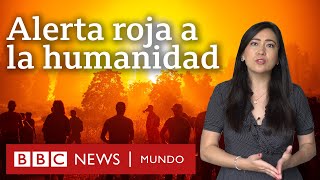 5 revelaciones del informe de la ONU sobre cambio climático y qué dice sobre América Latina [upl. by Nnalyrehc]