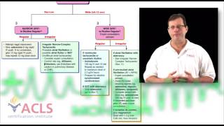 ACLS Video Review  Tachycardia Overview [upl. by Merna]