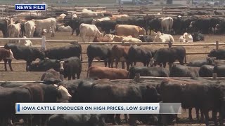 Beef Prices Rising 1212 [upl. by Hynes70]