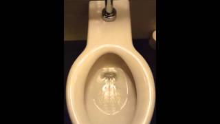 Kohler Anglesy Seatless Toilet and Zurn Urinal [upl. by Solenne]