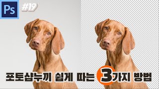 포토샵 강좌 19 포토샵 쉽게 누끼따기 3가지 방법 배경지우기 길쌤 [upl. by Budge]