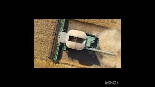 Wheat Harvest Mentmore Manitoba Pinesdune Farm 2024 [upl. by Materse]