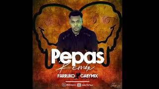 Pepas Remix Farruko x Gabymix Haitian remix [upl. by Spielman]