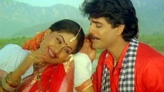 Janaki Ramudu Songs  Chilaka Pachha Thotalo  Nagarjuna  Vijaya Shanthi [upl. by Kimberli]