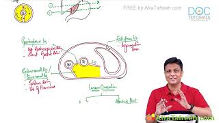 Anatomy of abdomen peritoneum FMG USMLE step 1 NRE exam clinical correlates [upl. by Datnow925]