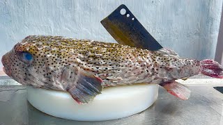 7kg porcupine puffer fish 6dish recipe for porcupine puffer fish in the kitchen  Vn Chef [upl. by Tessler438]