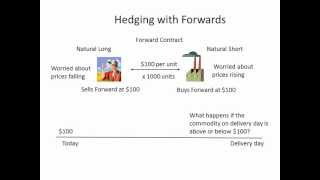 Hedging with Forwards [upl. by Glynnis]