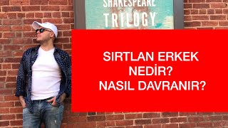 SIRTLAN ERKEK NEDİR VE NASIL DAVRANIR ERKEKLER ÜZERİNE BİLGİLER İLİŞKİ DANIŞMANI ADİL YILDIRIM [upl. by Eniamsaj900]