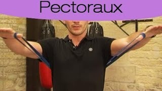 Tonifier ses pectoraux [upl. by Akirdnas]