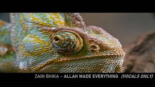 Zain Bhika  Allah Made Everything vocals only [upl. by Aim46]