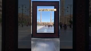 ஹாஜிகளே வருகஅதிரை ஜாஃபர்  Welcome Hajis song By Adiraijafar [upl. by Katey391]