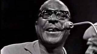 Sonny Terry  Hooray Hooray These Women Is Killin Me [upl. by Notnad]