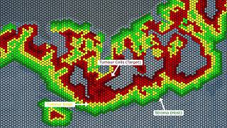 Immunogradient  Computational biomarker of antitumour responses [upl. by Ennayoj]