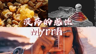 没药 Myrrh：来自非洲的感性香调 [upl. by Rosabelle522]