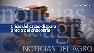 🔴 Crisis del cacao dispara precio del chocolate  Noticias del Agro [upl. by Taro]