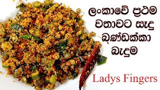 ලංකාවේ ප්‍රථම වතාවට සෑදු බණ්ඩක්කා බැදුම  bandakka thel dala recipe [upl. by Ellerrehc958]