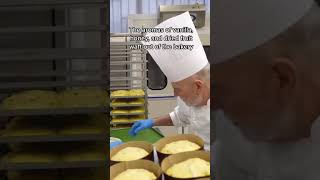 How master Italian bakers create the perfect panettone shorts [upl. by Acinomaj797]