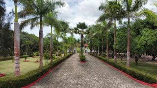 Fazenda a venda no estado do Maranhão [upl. by Ahseenal955]