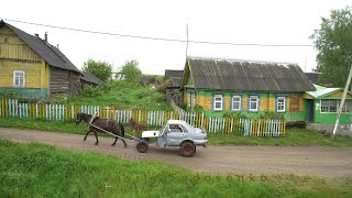 Horseauto of Belarusian shepherd [upl. by Giselle760]