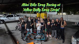 Mini Bike Drag Racing at Yellow Belly [upl. by Selassie]