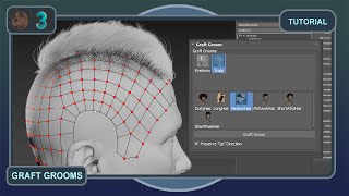 Ornatrix 3ds Max v8  How to use Graft Grooms [upl. by Noitsuj]