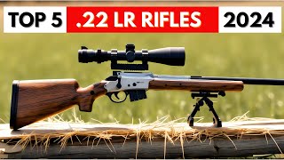 Top 5 BEST 22 LR Rifles In 2024 [upl. by Wolbrom]