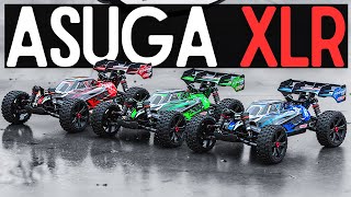 NEW ASUGA XLR BUGGY by Team Corally RTR amp Rolling Chassis Revealed ITS HUGE [upl. by Bozovich]